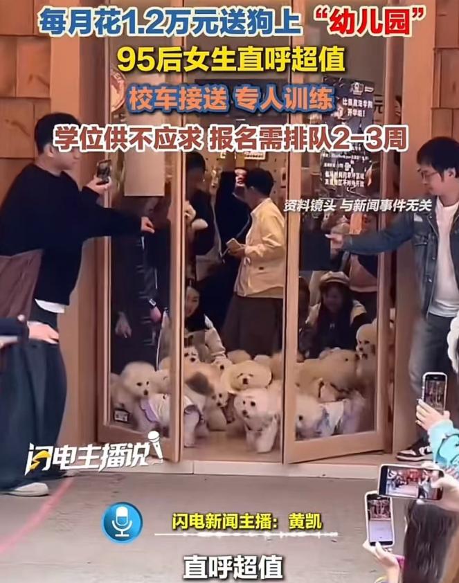 别用“花自己的钱”洗地了：当狗权凌驾于人权，这社会出问题了！

刷到这条新闻，我