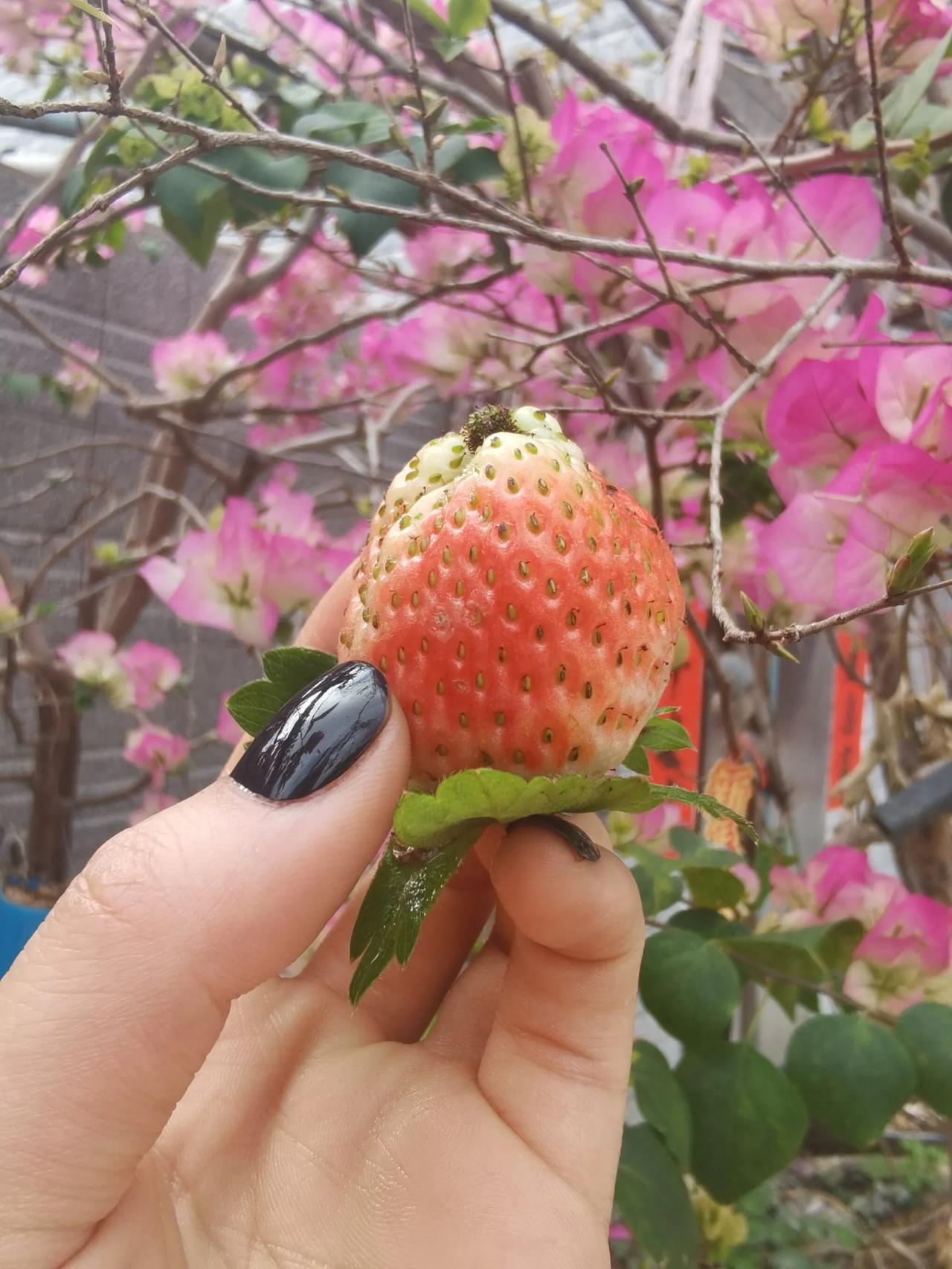 好好发光，能记住很久的大格局女性文案


01

所有的一切有所取有所舍，接受不
