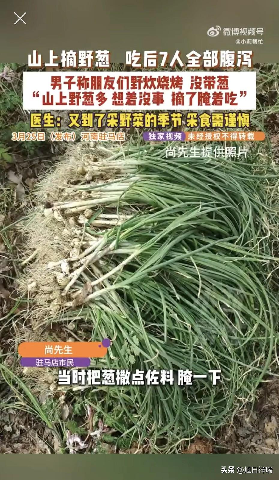 河南一男子和朋友野炊烧烤忘记带葱，见山上野葱繁茂，便摘了腌着吃，7人全部腹泻，医
