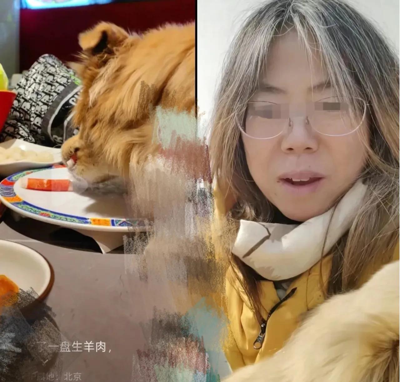 这次真的出名了
狗上桌舔盘子还发视频炫耀？
这操作真是把人看傻了！这大姐把狗抱桌