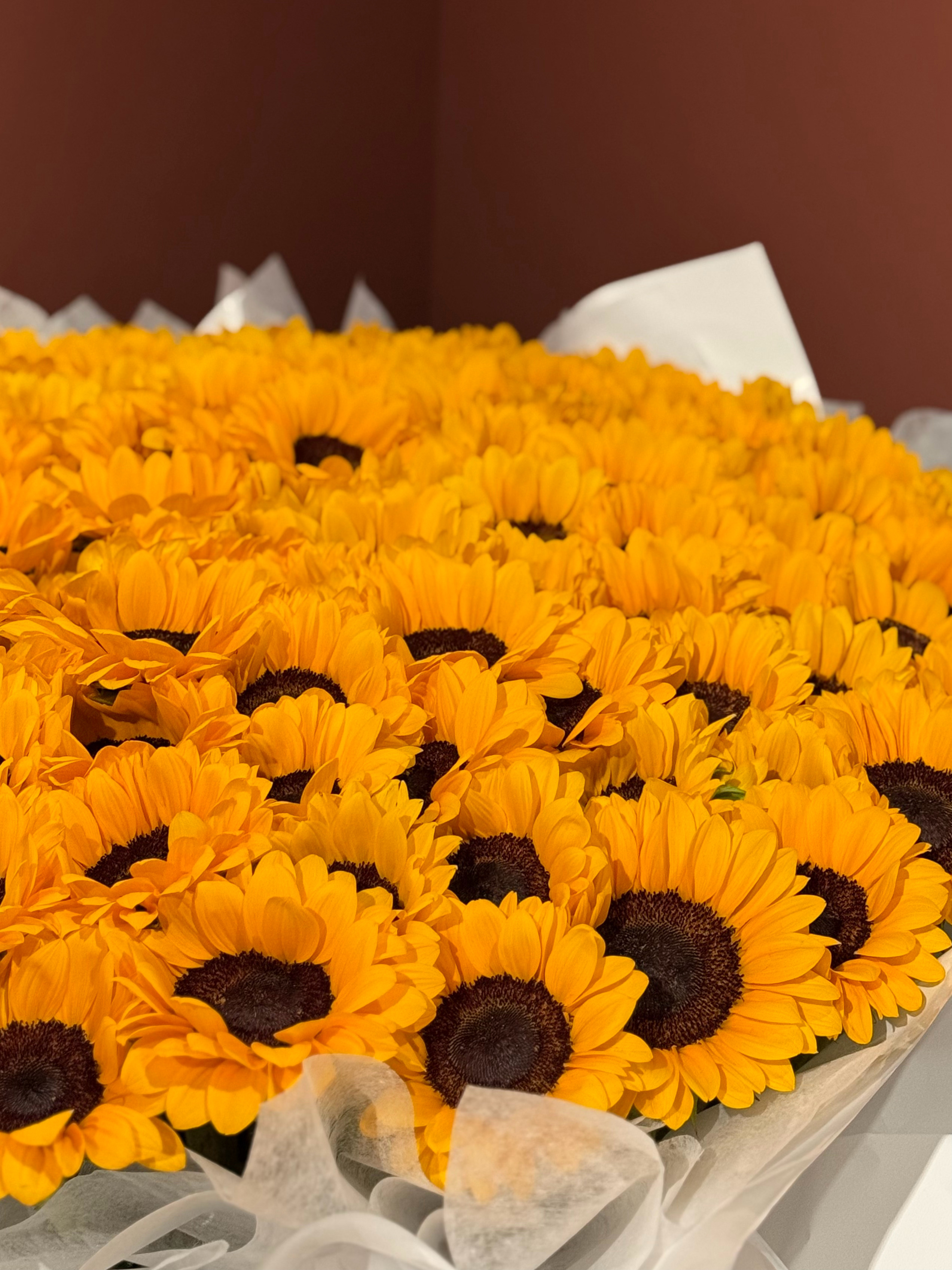 今天是向日葵女孩只开心不内耗👧🌻 