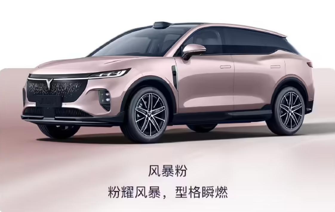 岚图汽车近日公布全新知音“风暴粉”“辉月青”两款车色，此前该车已经带来“杜若白”