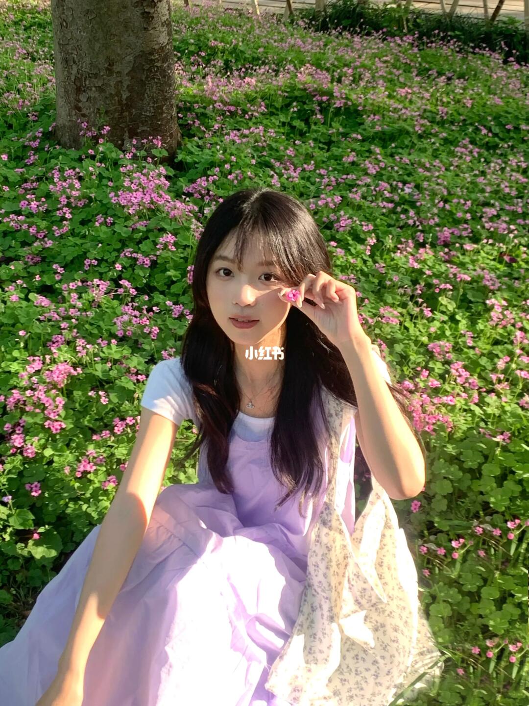 赴一场夏日的约
