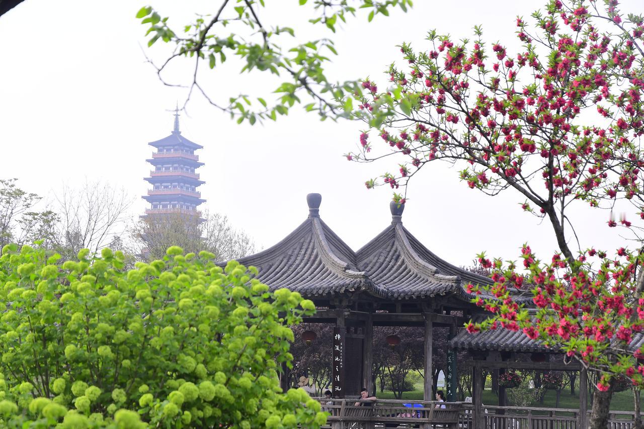 扬州的春天有多美，我想任何赞美都不为过！
清明小长假，瘦西湖人满为患。李白的烟花