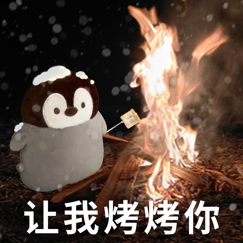 冬天降温后的邪修取暖大法我觉得冬天最重要的保暖装备是帽子诶（不是说其他东西不重要