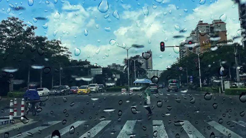 今天的降雨分布真的有点“雨露均沾”但又精准暴击的感觉。
西北大部、内蒙古、东北中