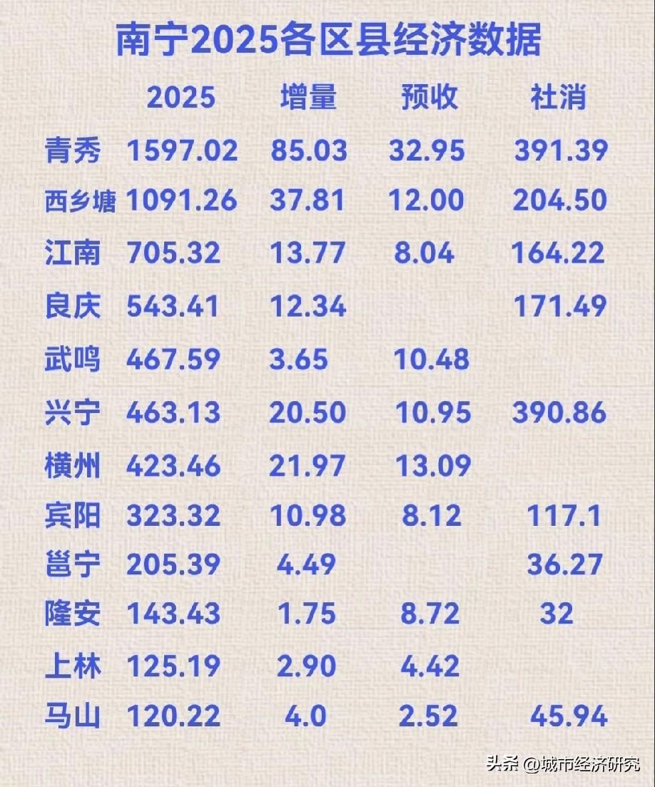 2025年南宁各区县市经济指标数据水平情况，图片里属于2025年南宁市各区县市的