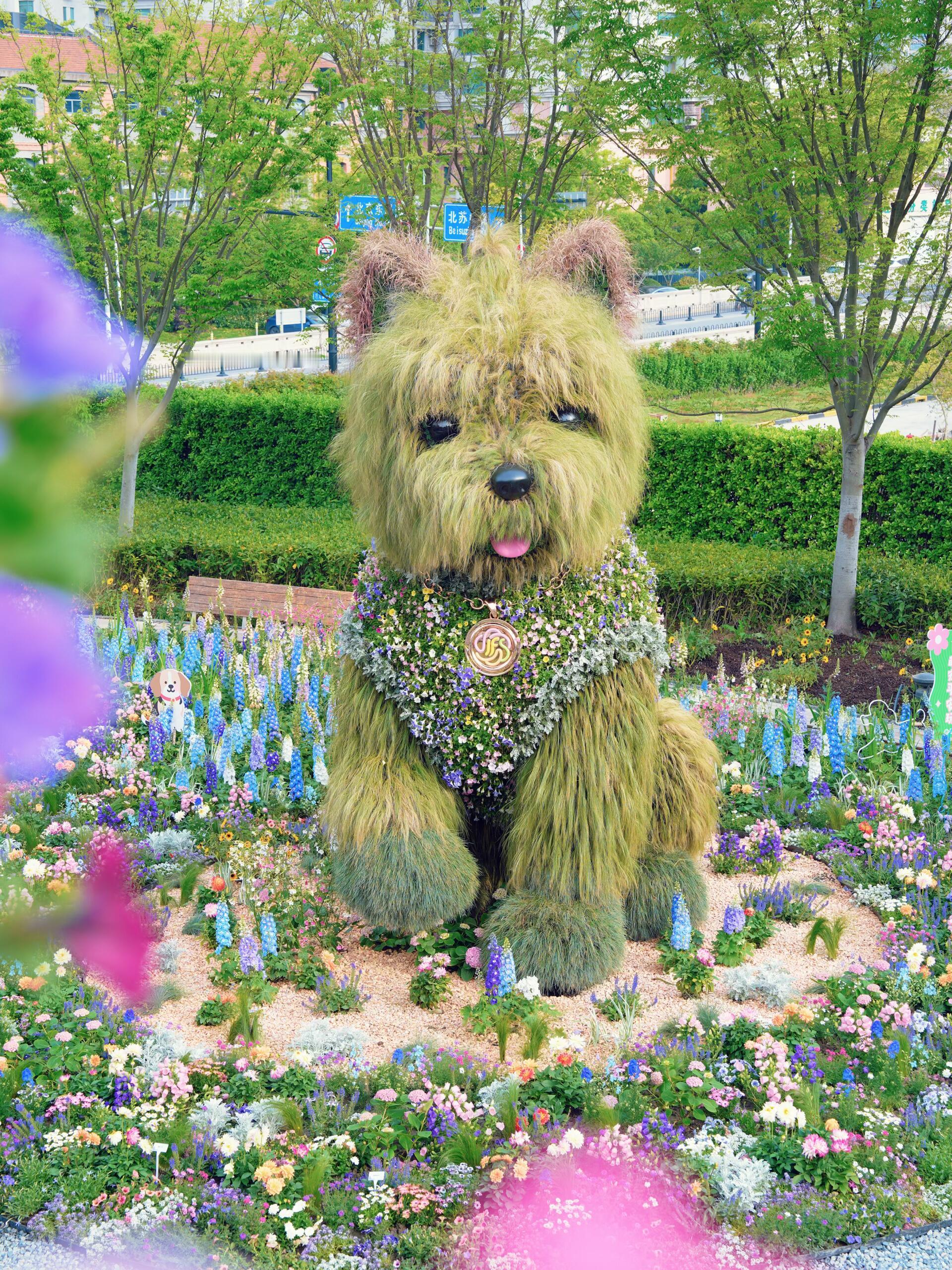 上海的花展已经 next level 了 