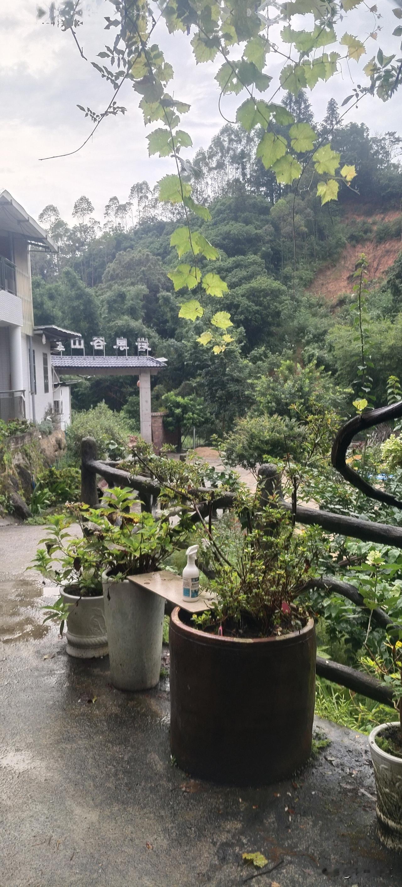 我有个女同学喜欢上一个有精神病的男人，五年前她没了老公，而且她从小有小儿麻痹症，