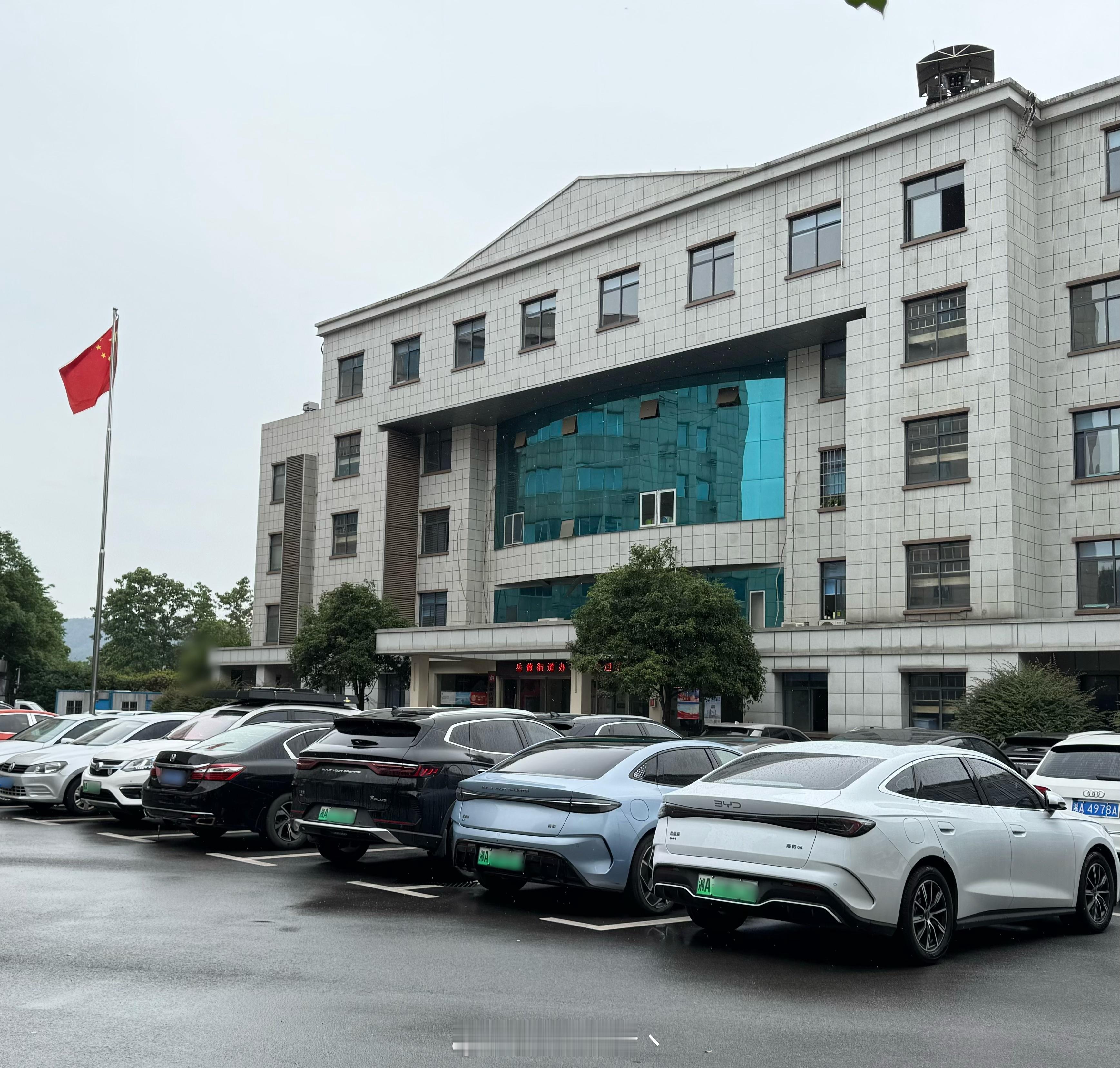 最近也是慢慢发现公务员的政府大院里新款比亚迪的占比越来越高，合资品牌基本上都是很