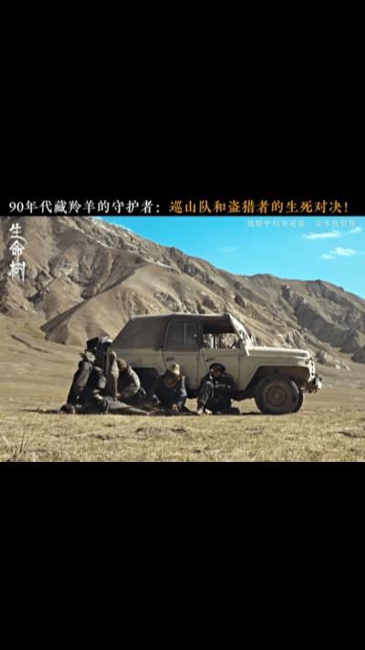 生命树巡山队人均SSR电视剧生命树 从枪声到情书，从快门到酒壶，从单词到脚印——