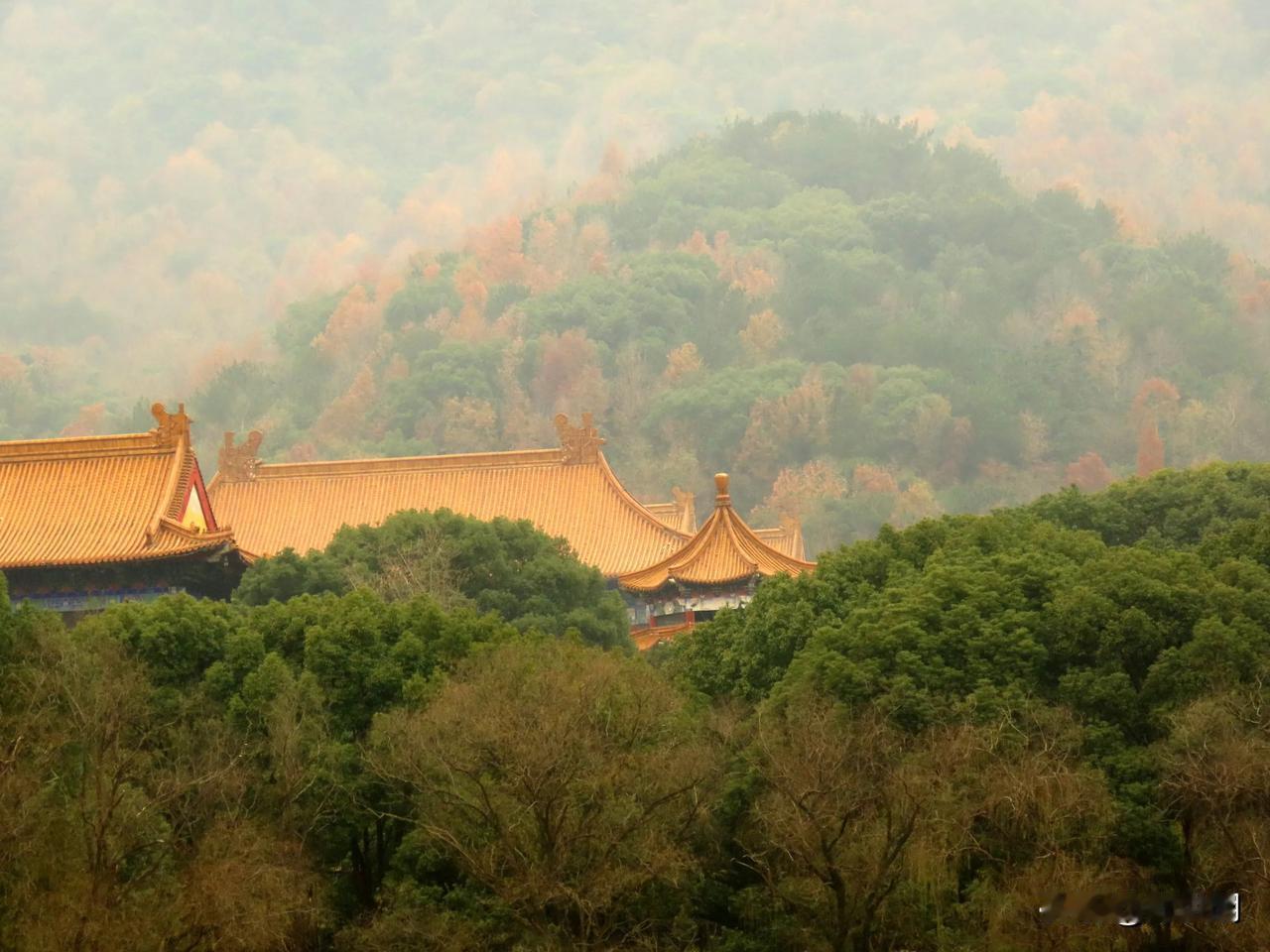 古色古香的中国建筑，隐藏在郁郁葱葱的山林之中，仿佛世外桃源。🍃🏯🍂
余姚天