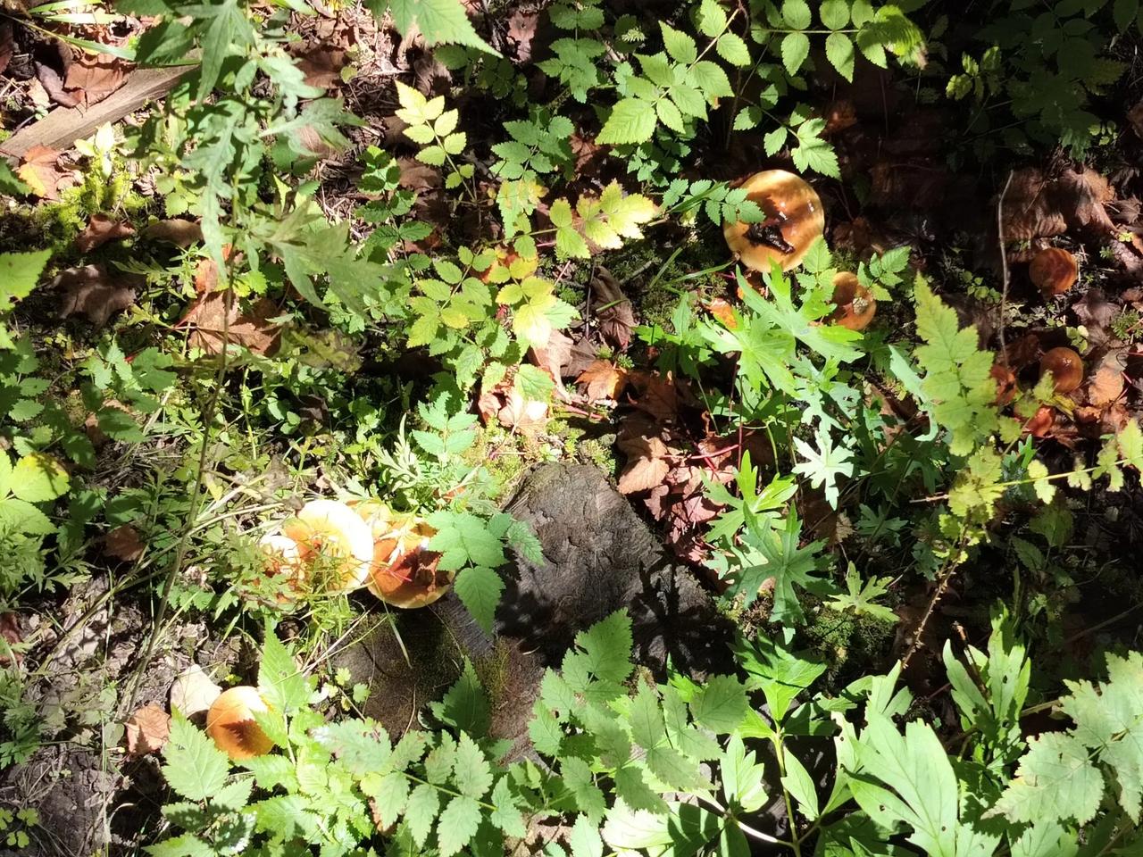 冬日生活打卡季加油