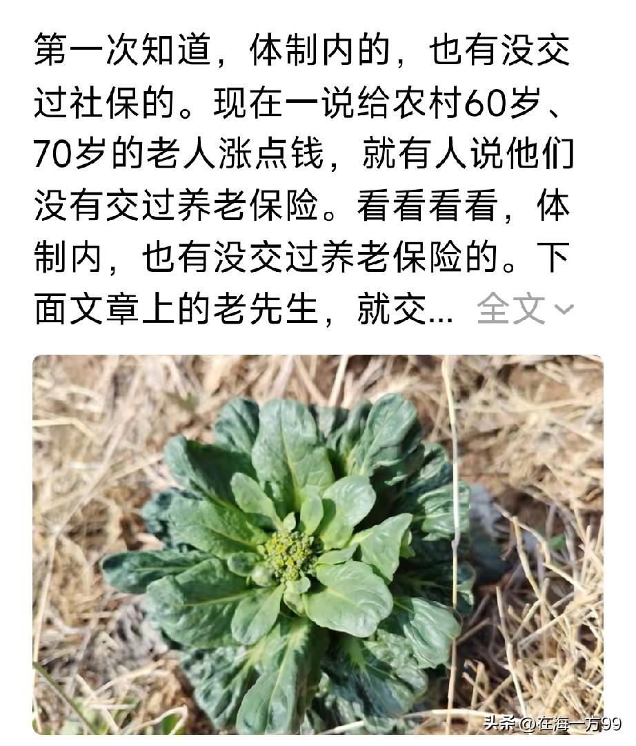 体制里没有交社保，是搞笑？还是装不知道？我看是装不知道多一点吧？没有社保的时候，