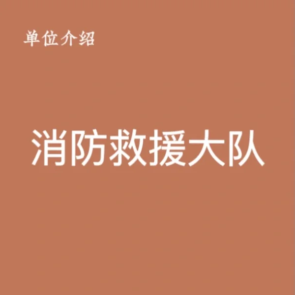 宝子们，这是消防队