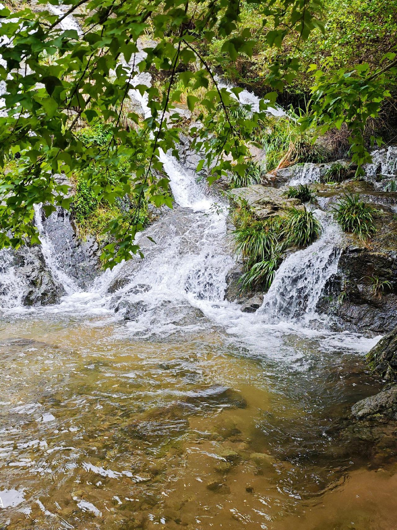 ✰ᯓ
⁎⌛
💘不负时间馈赠
努力活成自己喜欢的样子ଲᶫᵒᵛᵉ#春天当然要用镜头