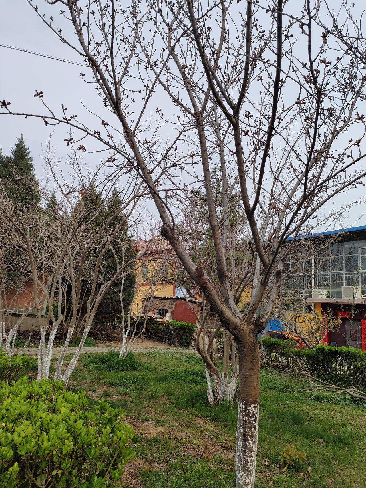 活好自己，你的人生，不需要那么多观众
 
不知道从什么时候开始，我们活得越来越累