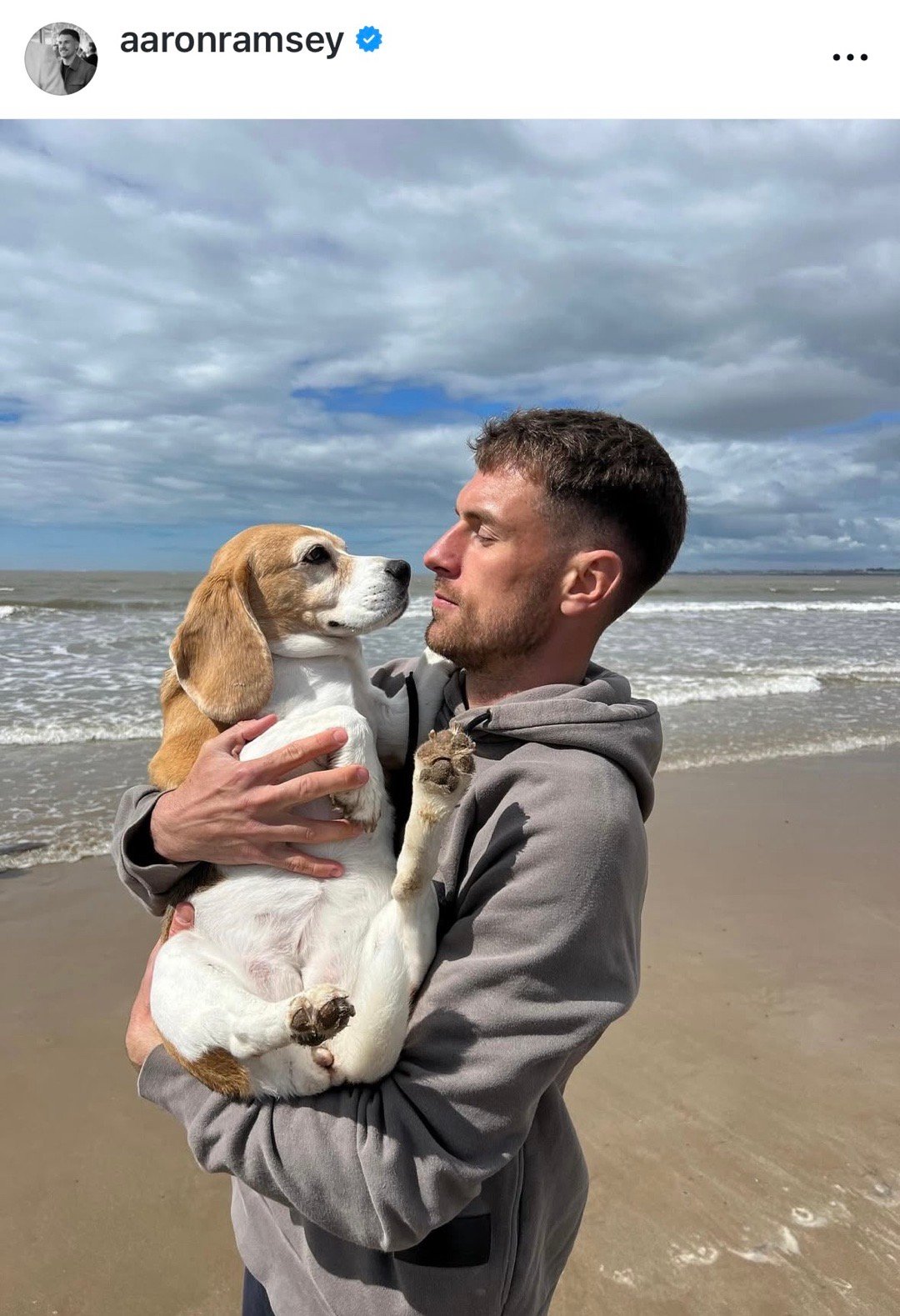 拉姆塞家的比格在旅途中走丢了，这几天他一直在发寻狗信息，我也转了几次，希望早日找