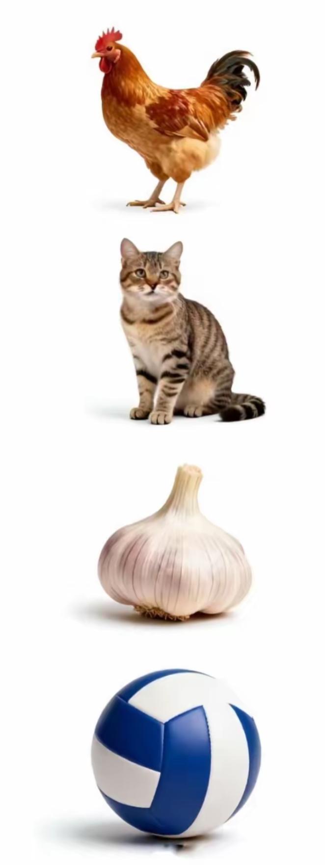 一只鸡、一只猫、一个蒜、一个球。这个组合很搞笑，词语很简单[作揖][玫瑰]