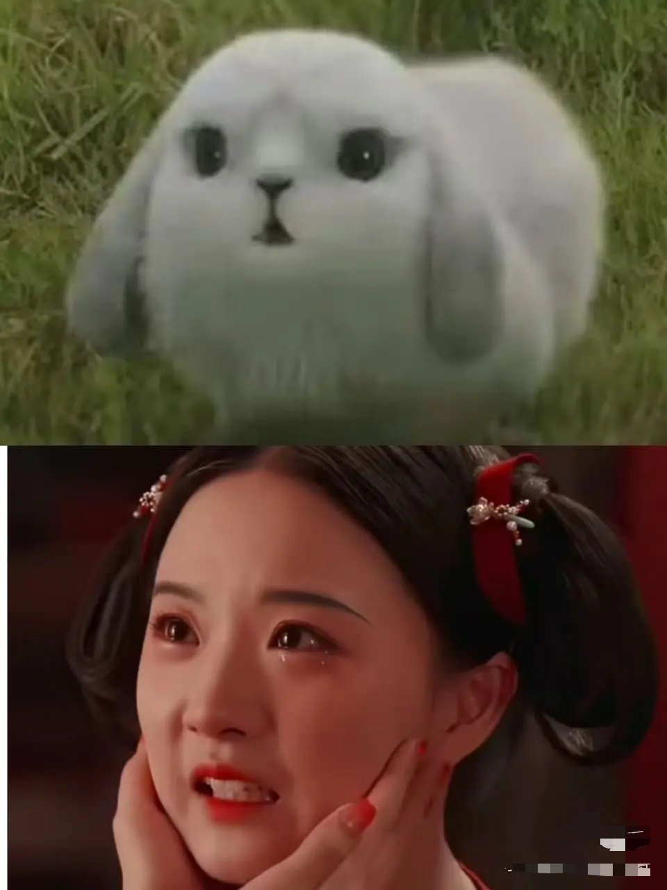 建议大家不要梳这个发型，因为这个发型一般活不过两集 
