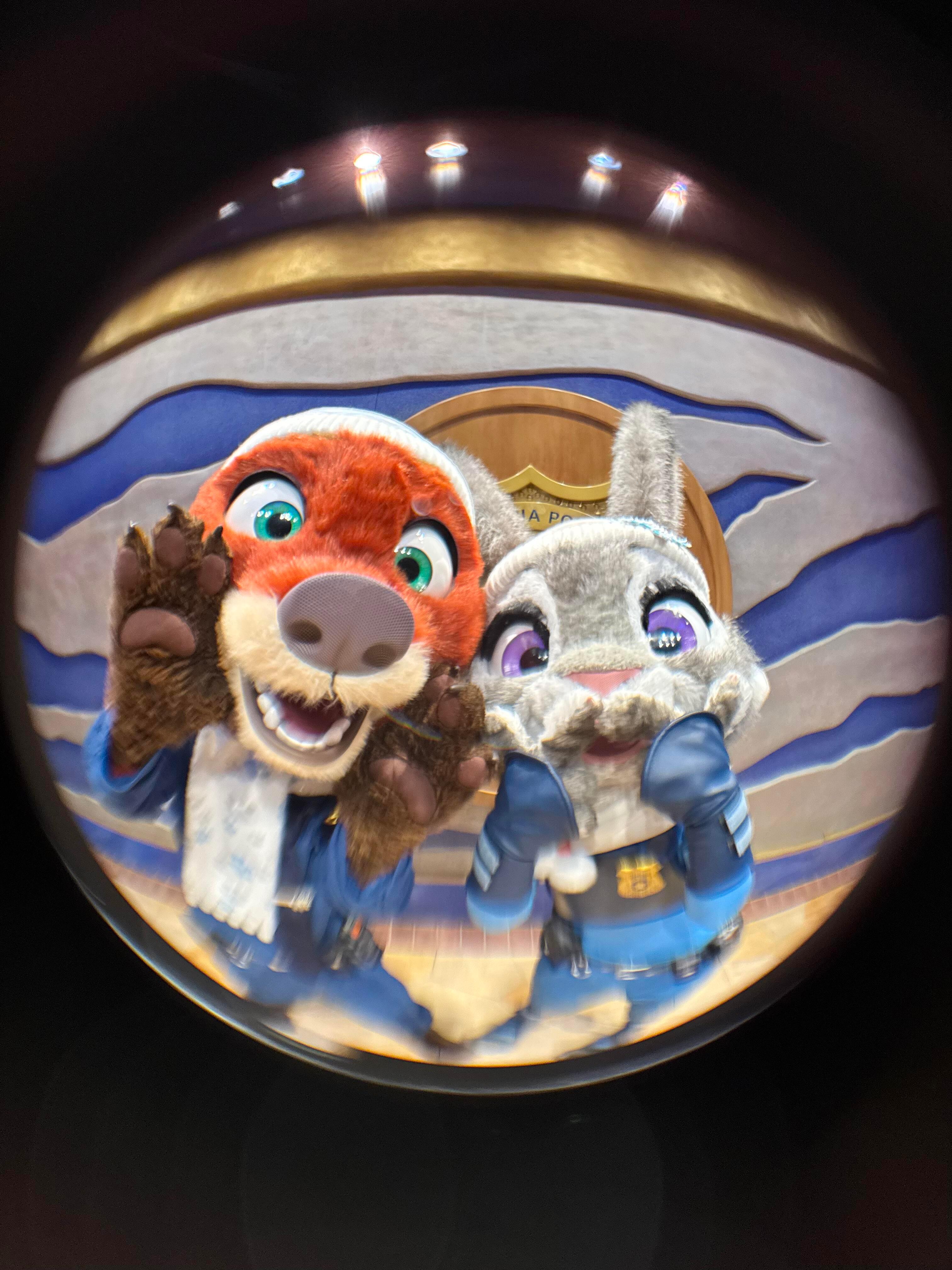 🦊🐰=♡ 
