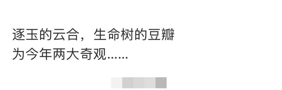 [笑哭]相同点: 不需要观众，全自动瀑！