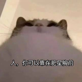肥星来了，大家快靠过来 ​​​