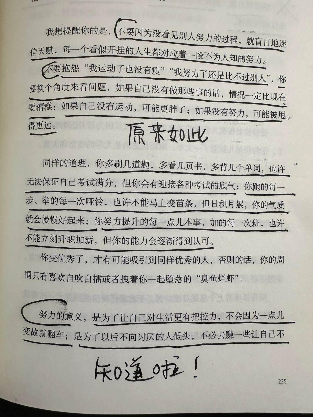 努力的意义！强烈建议过完年认真读一遍！