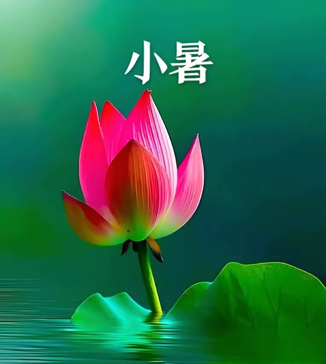“人和人如果不在一个层次上，那么无论你做什么，对方都觉得不对，所谓层次，不是社会