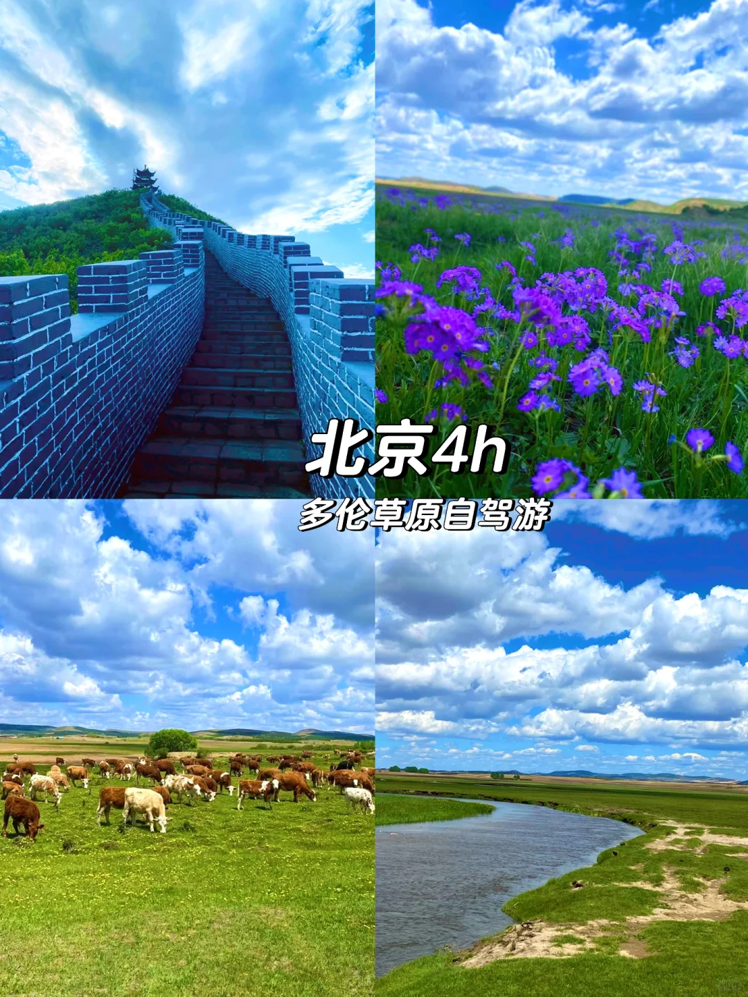 北京4h｜多伦草原自驾｜周末小假期