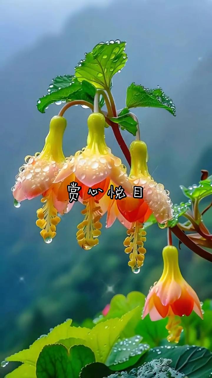 赏心悦目。