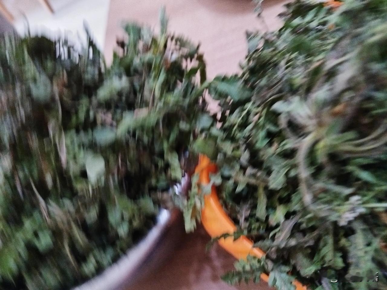摘了2斤山荠菜，指头累挺了，满手是泥，就我还动用了剪刀[捂脸]
韩剧里，那些一根