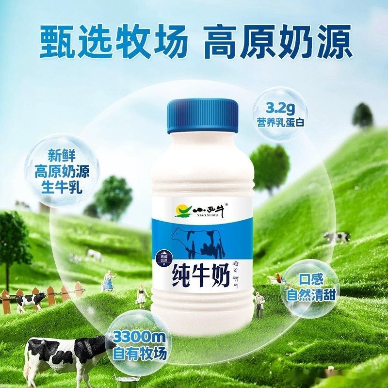 【TB到手价25.9】爆!!瓶装奶王小西牛回货!!高原奶天花板!!!青海小西牛全