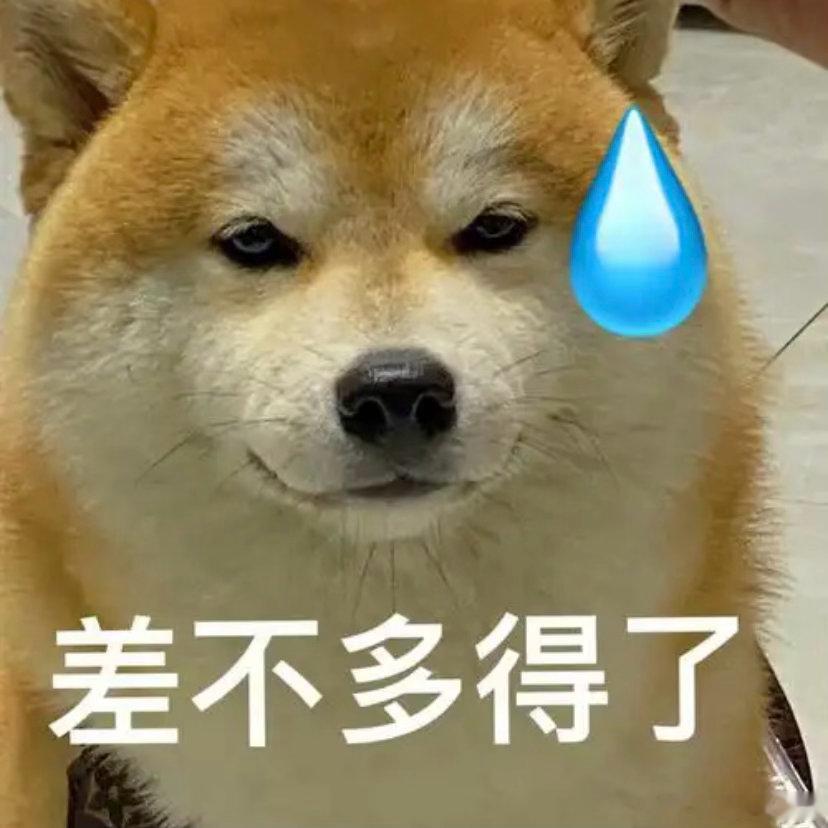 金世佳肚子刷到这个热搜词条莫名觉得好笑从前都是揪着女艺人的身材小腹指指点点如今终