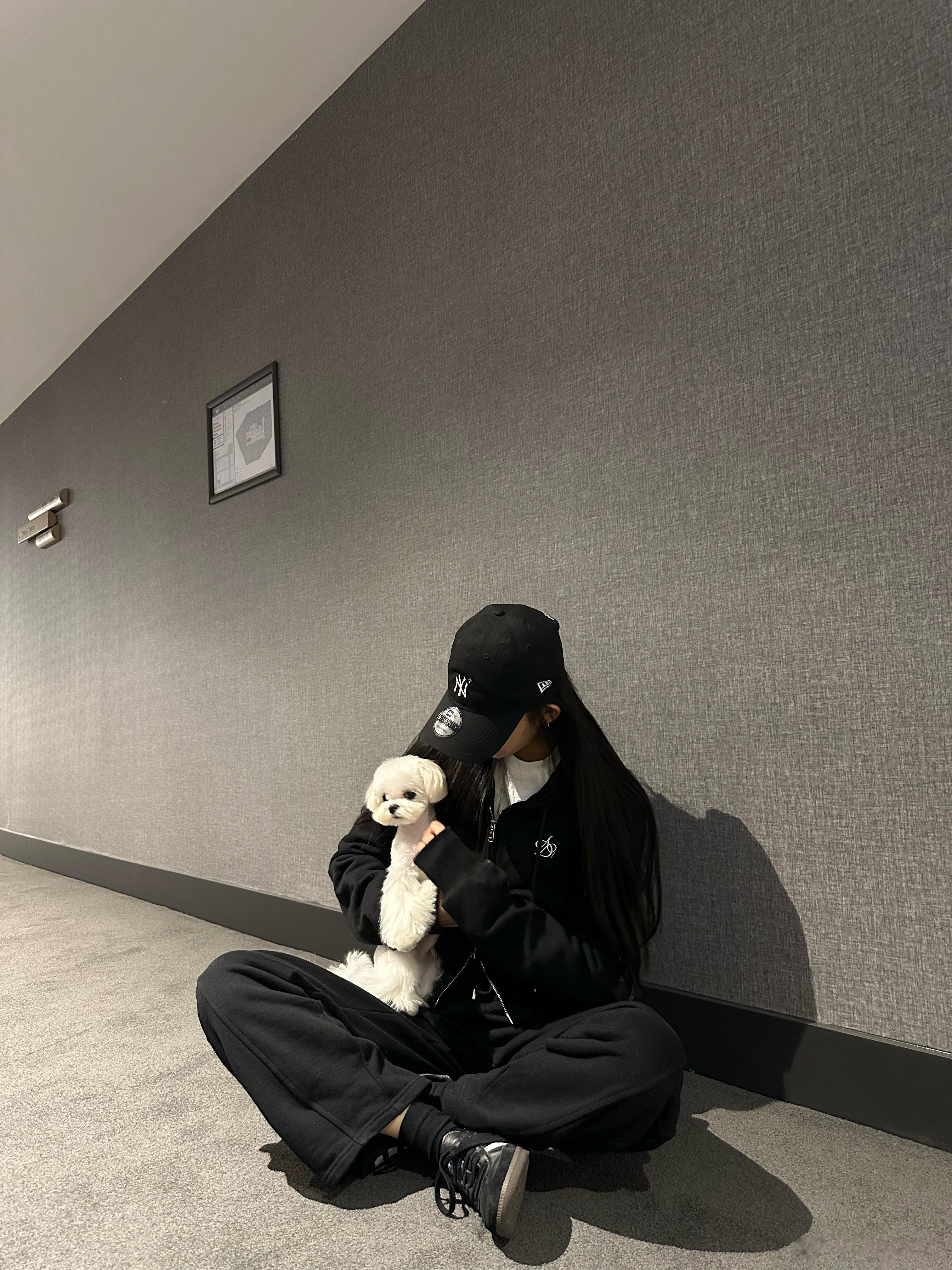 近日碎片🫧🧩🐶💕☔️  ​​​