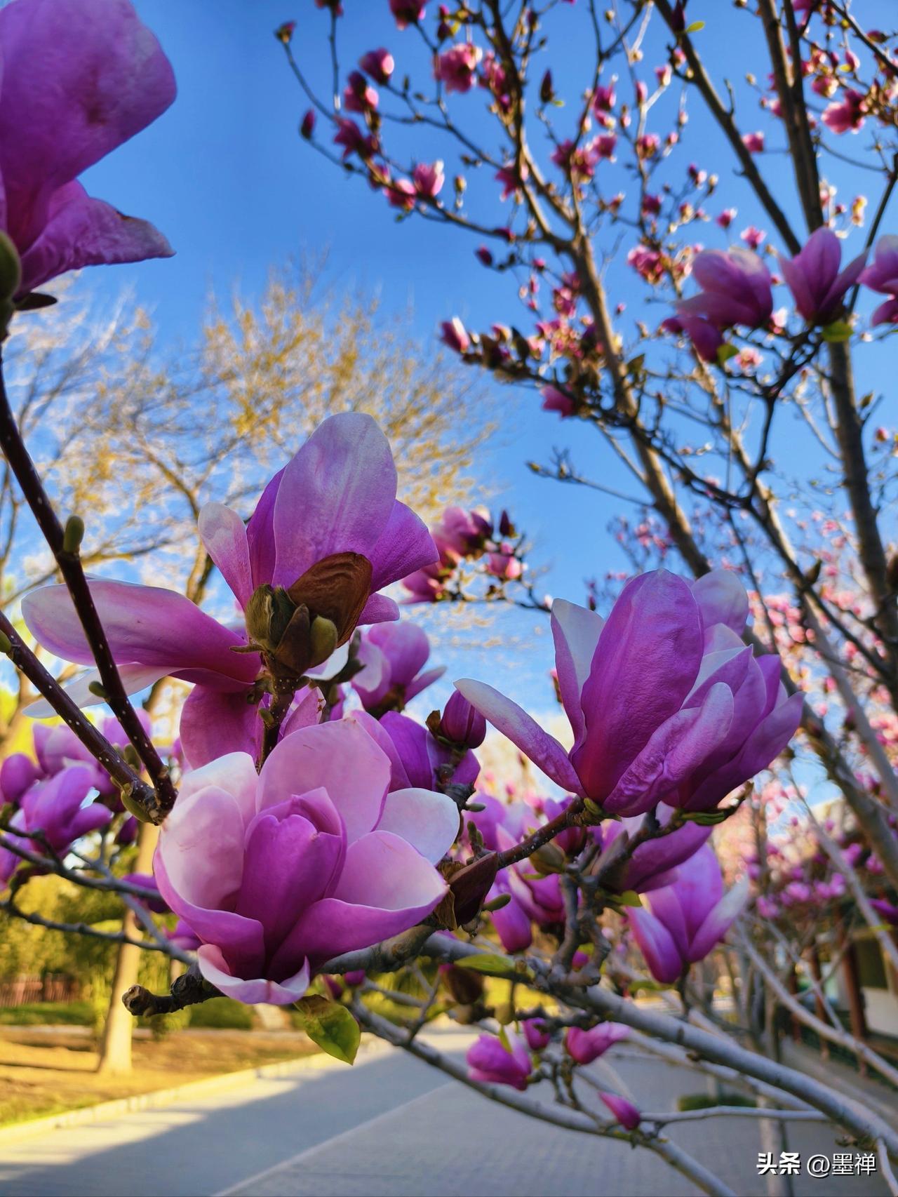 万能！厨房里99%的糟心事，
都被这15个“克星”收拾得明明白白

01、油烟机