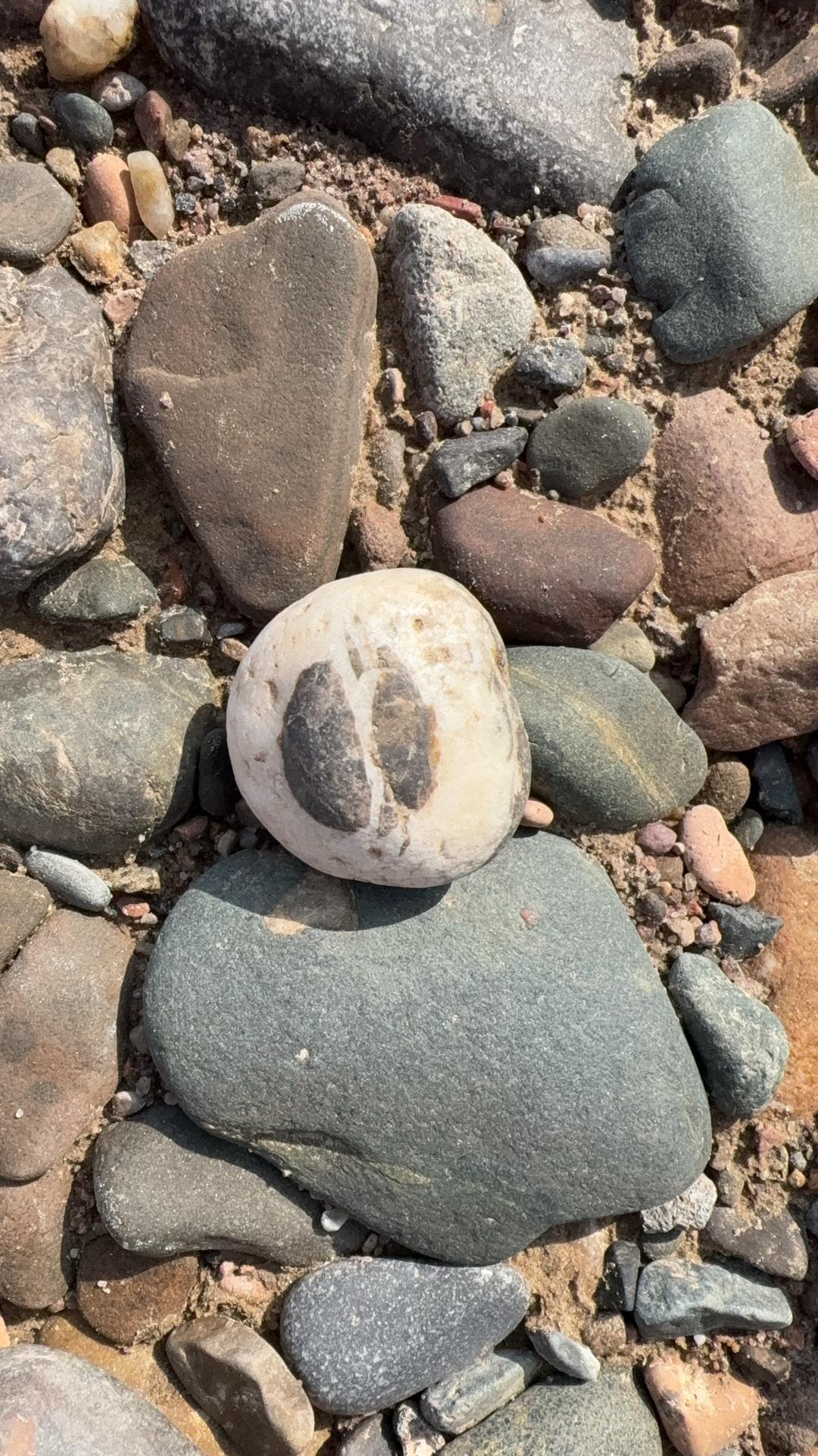 叹石头（其一）
碛口春天黄河瘦
水落石出尽圆形
曾经哪块无棱角
万年冲刷都磨平