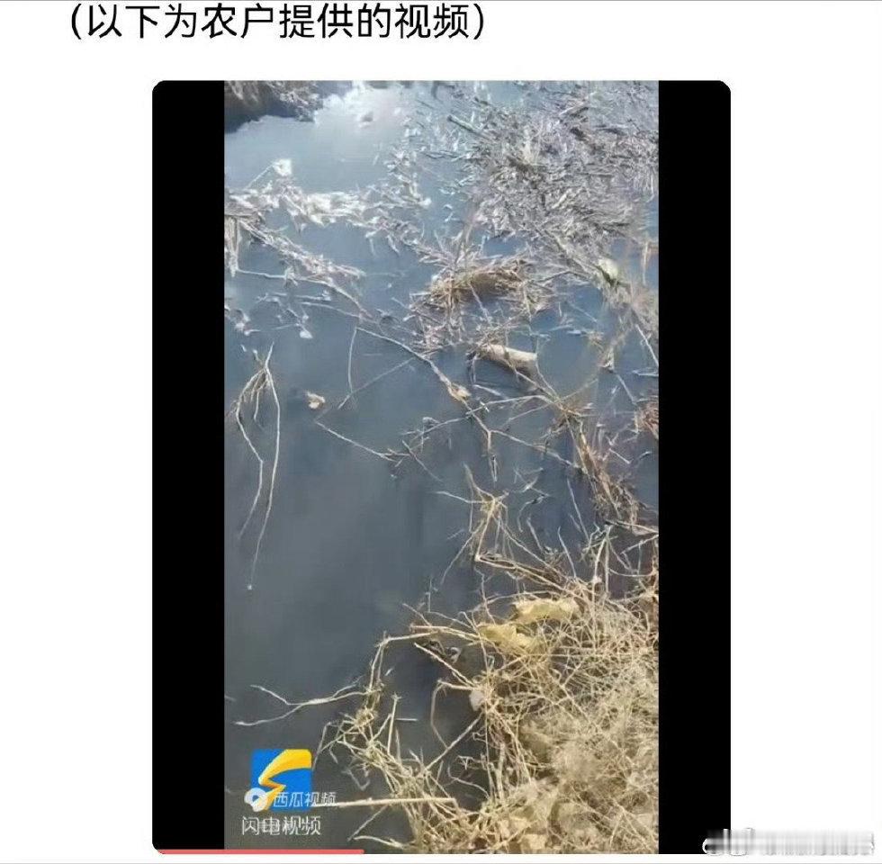 德州庆云十余亩大棚作物离奇枯死 水源疑遭污染原因待查齐鲁网·闪电新闻4月27日讯