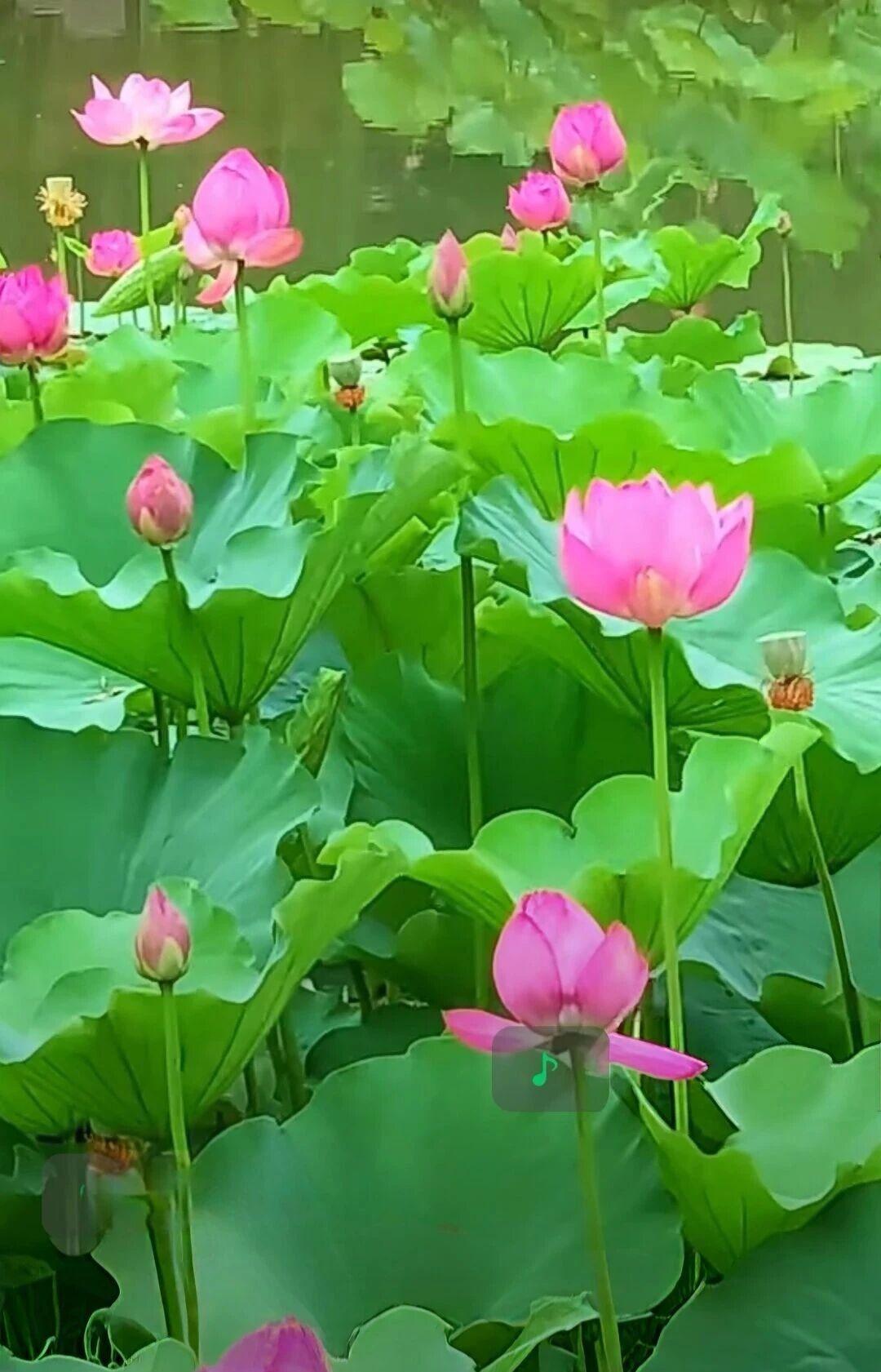 摒弃佛系躺平心态，以担当实干解锁履职成长新姿态

大道行远，贵在躬行；事业精进，