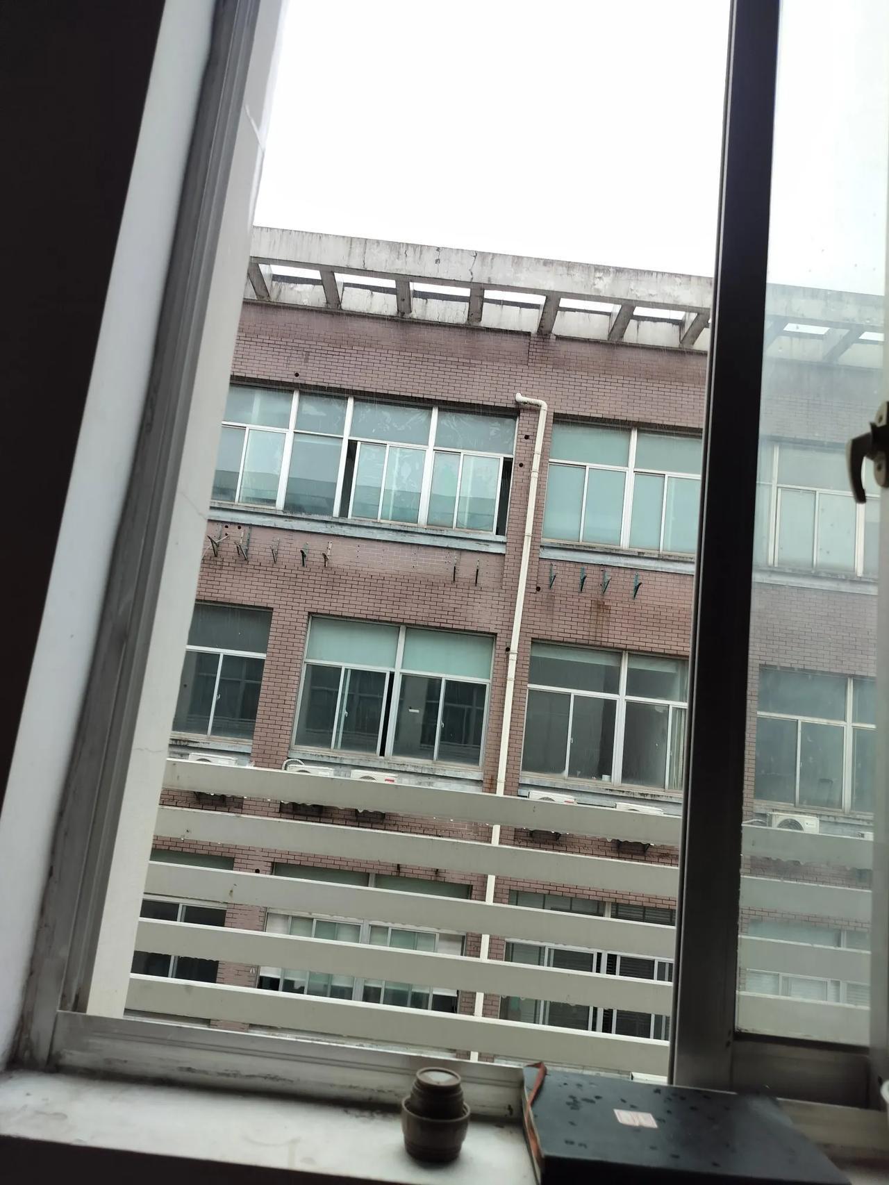 儿子结婚后，心里暗自发誓一定要做个好婆婆。待儿媳要胜似亲儿子。
       我