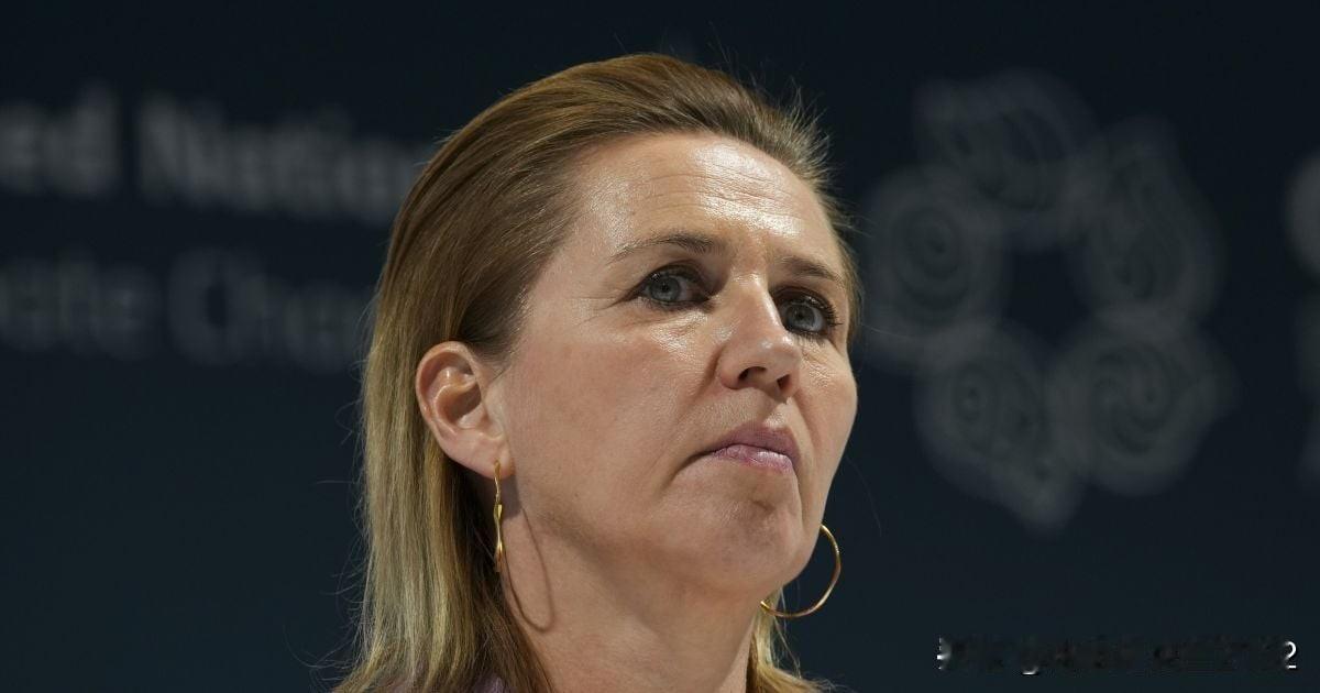 如果美国夺取格陵兰，北约可能会消失：丹麦发出警告


丹麦首相弗雷德里克森表示，