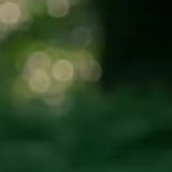 每日一善[超话]| 阳光信用 | 熊猫守护者 一起保护大自然与社会携手做公益关爱