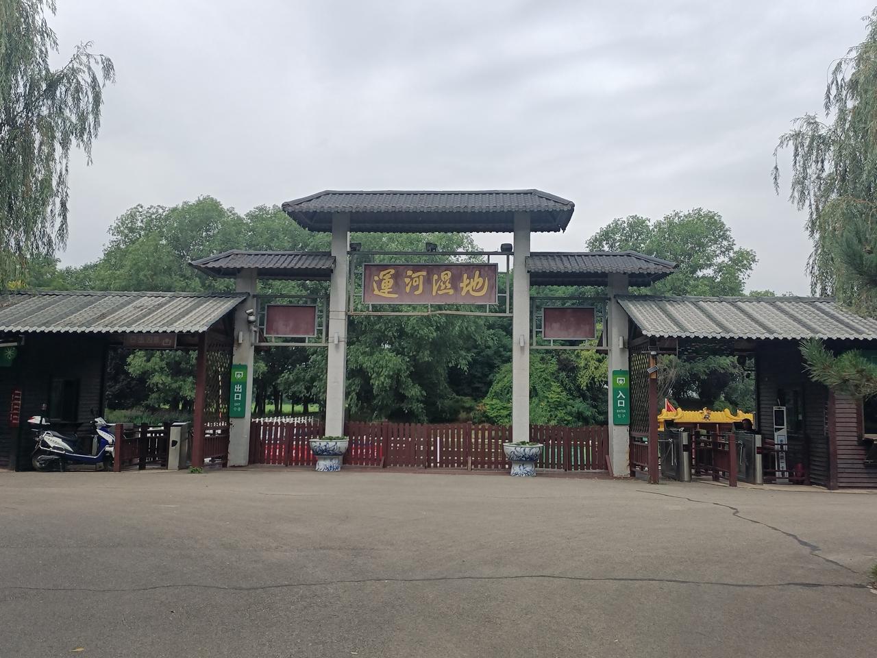 春观百花夏赏荷，运河荷花映眼帘。台儿庄运河湿地“荷”你相约，好运莲莲！（图片来源