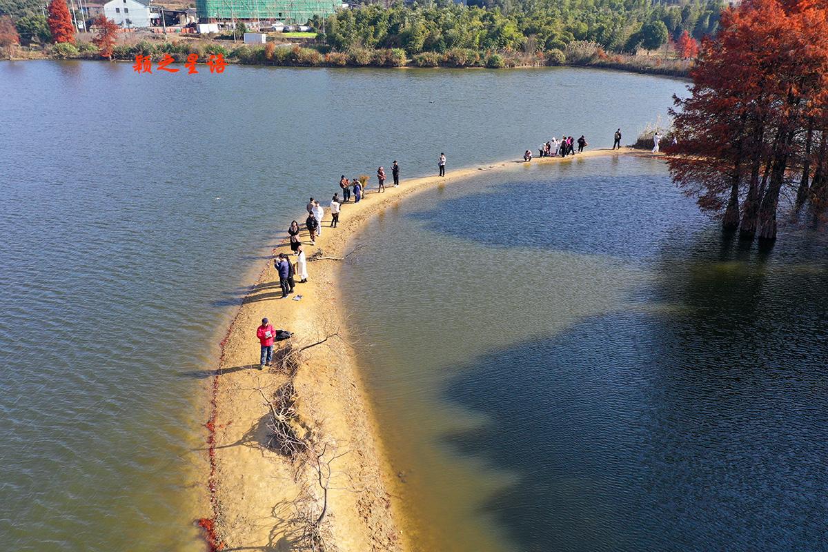 浙江省宁波市余姚市梁弄镇四明湖红杉林，远近闻名，很多人还不知道，旁边还有一个小众