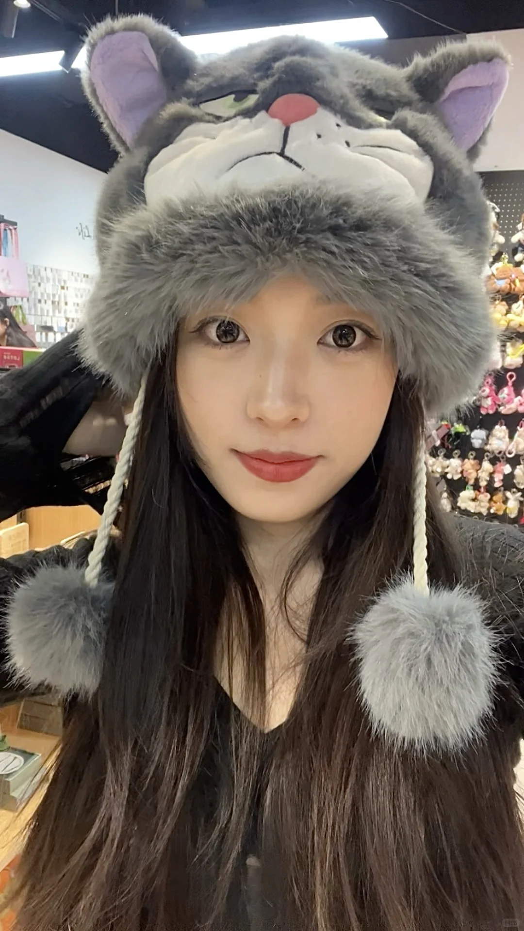 大坏猫😺