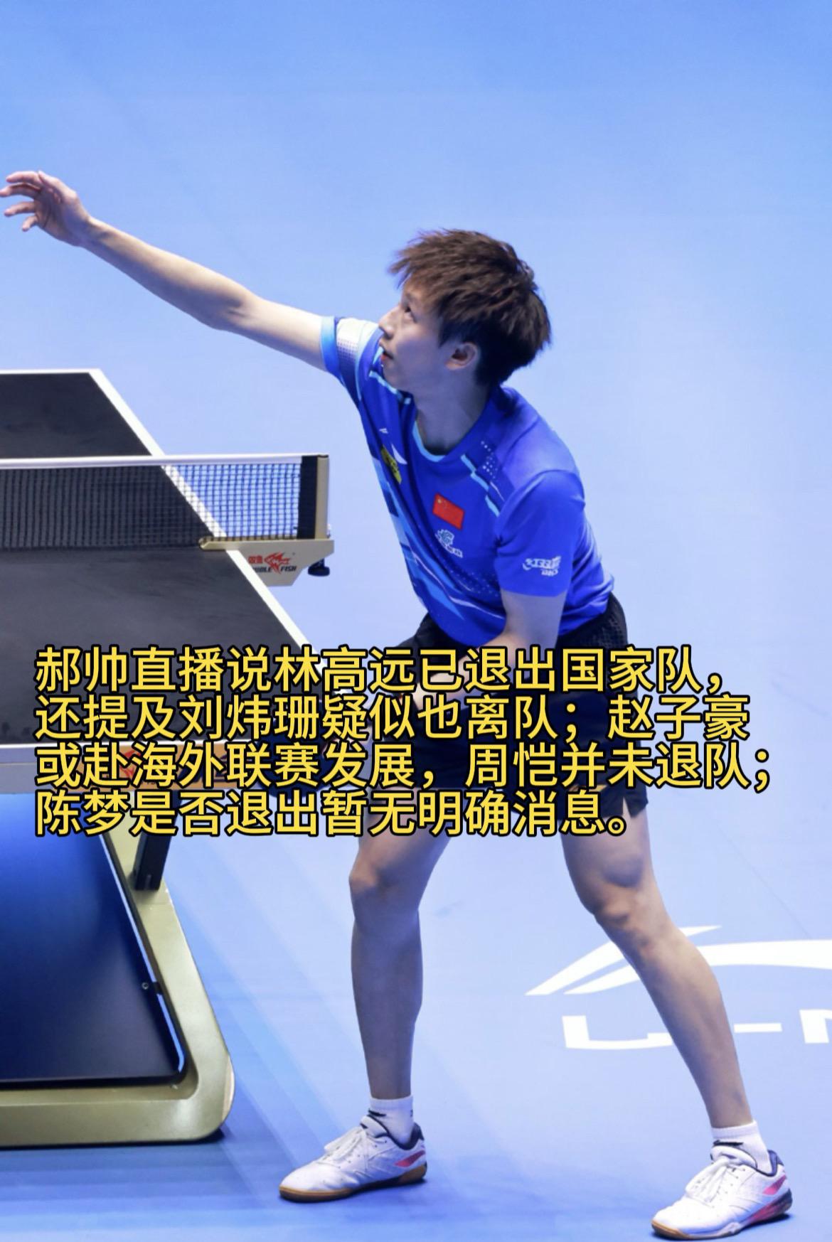 郝帅直播说林高远已退出国家队，还提及刘炜珊疑似也离队；赵子豪或赴海外联赛发展，周