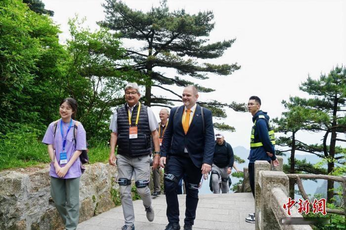 欠500万反而能睡着，欠1000万该吃吃该喝喝。
你以为是段子？这是最真实的人性