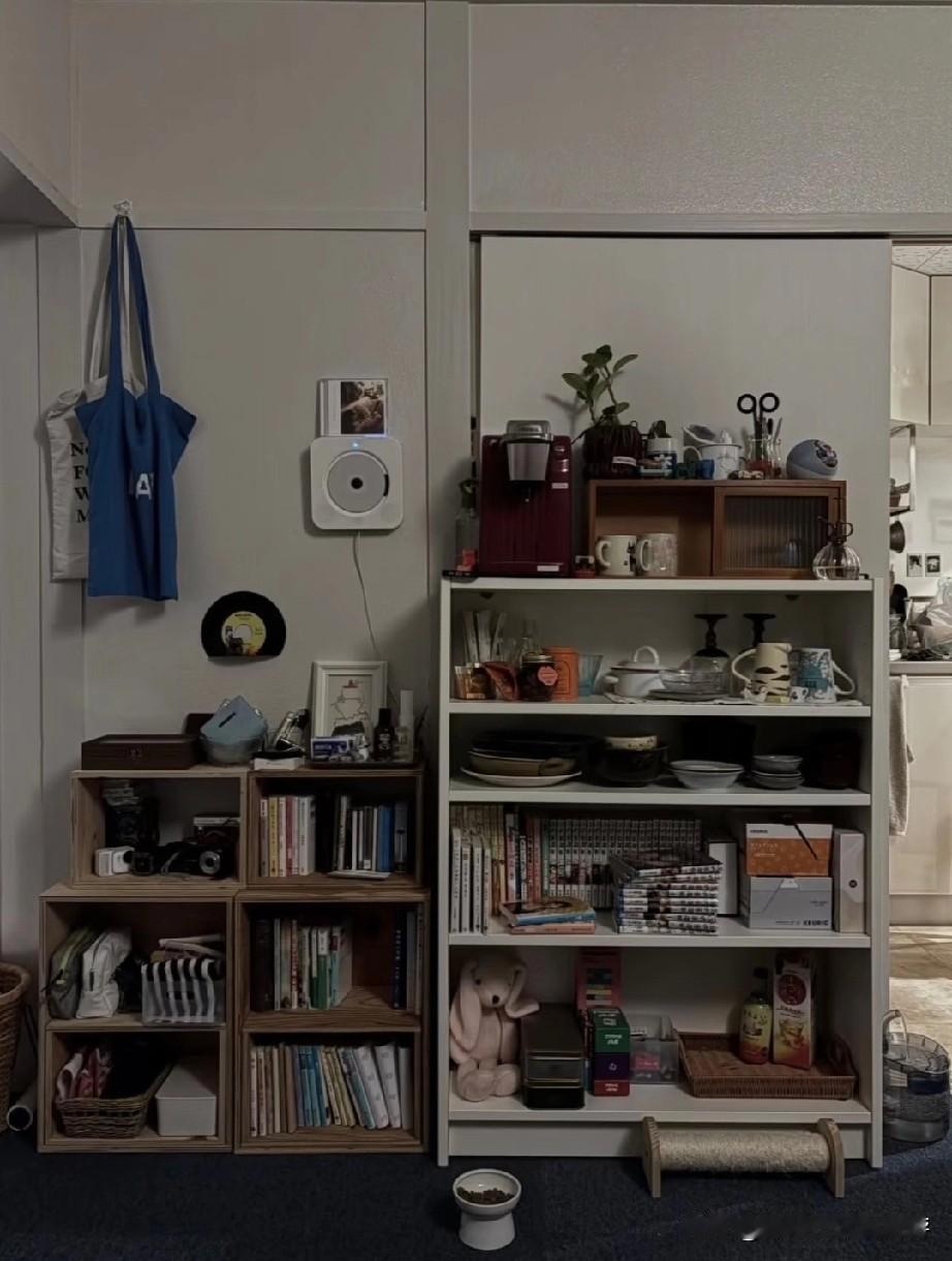 小户型装修灵感；小众治愈系空间 我只要放我喜欢的东西就好了！
接受定期的整理
接