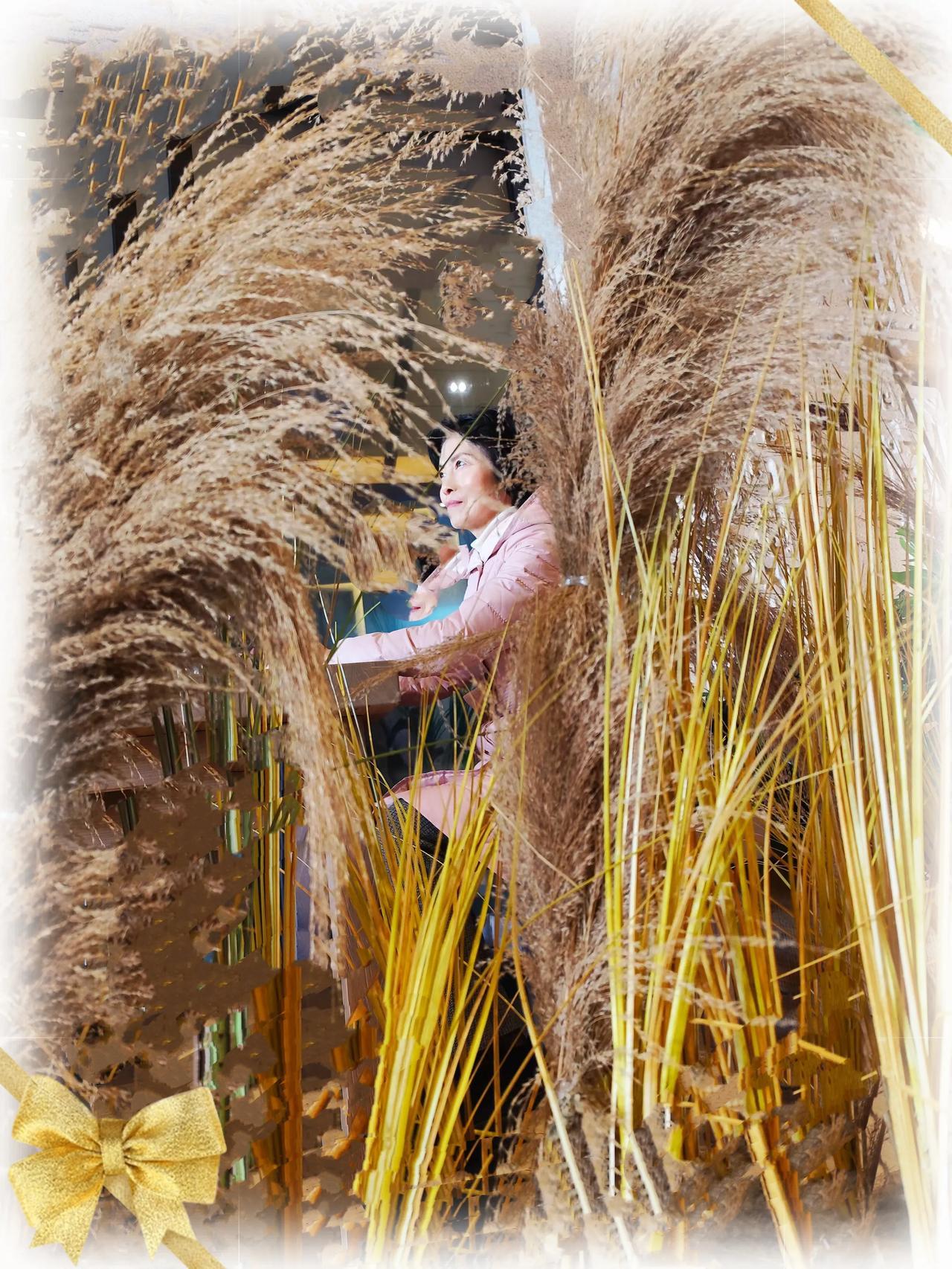 2024年即将过去，一年来，收获的是年龄，保持的是体重，增长的是皱纹，失去的是时