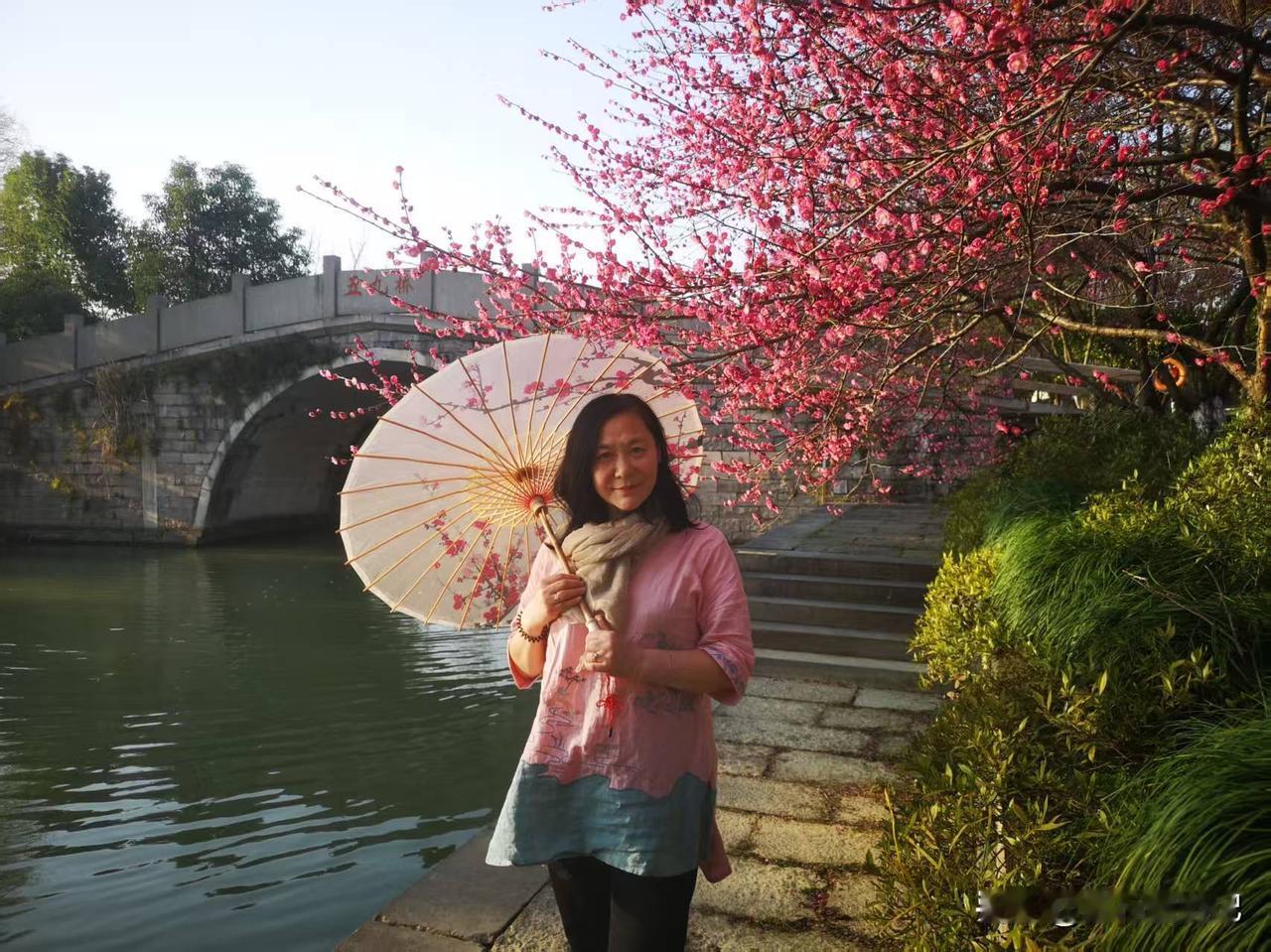 苏州梅花开放的时节，简直美到犯规！2026 年 2 月下旬，吴中太湖沿岸成了梅花